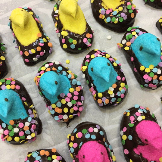 Spring Peeps - 2 pieces – Chocolate Silk